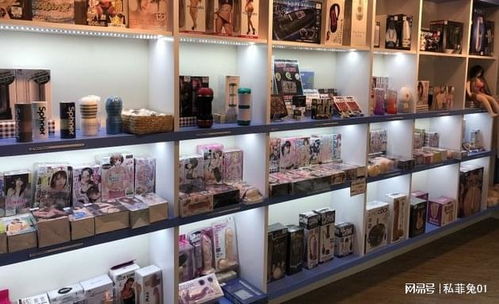 中國(guó)成人用品市場(chǎng)的迅猛發(fā)展與網(wǎng)店開(kāi)設(shè)指南