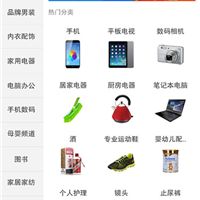 軟件開發