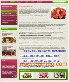 俄羅斯代購網(wǎng)站制作,專做有質(zhì)量俄語網(wǎng)站,俄羅斯代購網(wǎng)站制作,專做有質(zhì)量俄語網(wǎng)站生產(chǎn)廠家,俄羅斯代購網(wǎng)站制作,專做有質(zhì)量俄語網(wǎng)站價格